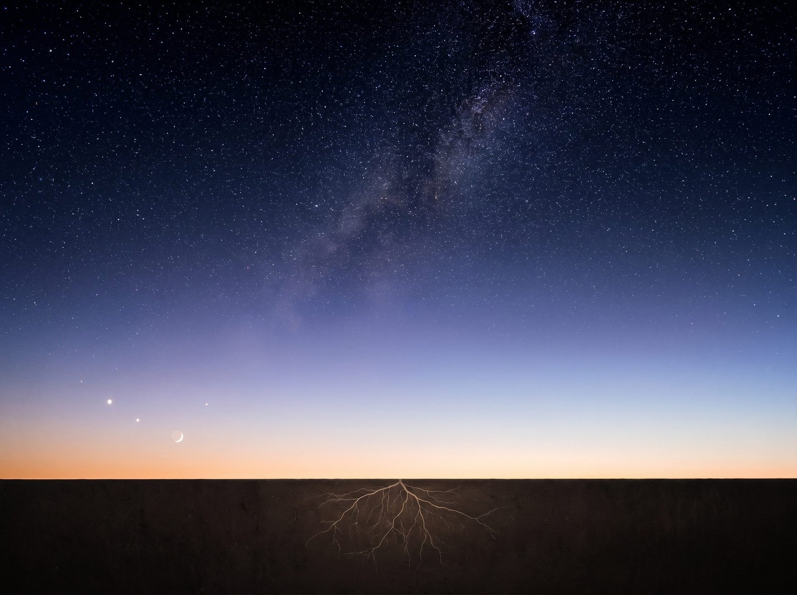 Deep space and the Milky Way above, deepening through the atmosphere to a pre-dawn horizon; below the ground, a pale root system spreads through dark earth
